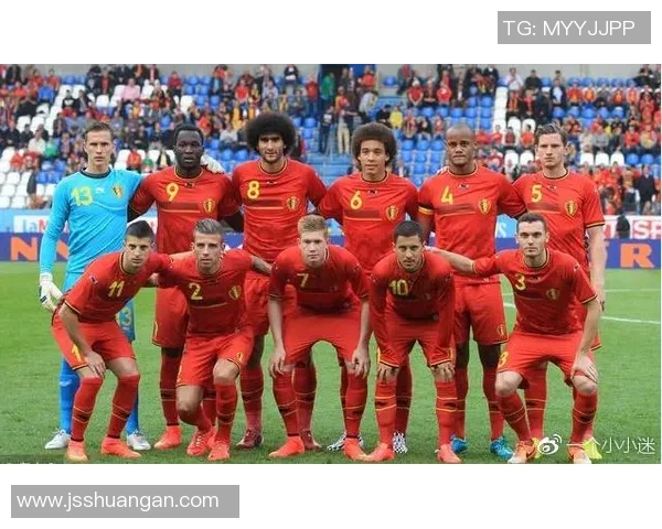 立陶宛与黑山的历史文化对比与发展潜力分析